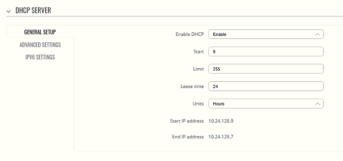 RUT955 DHCP