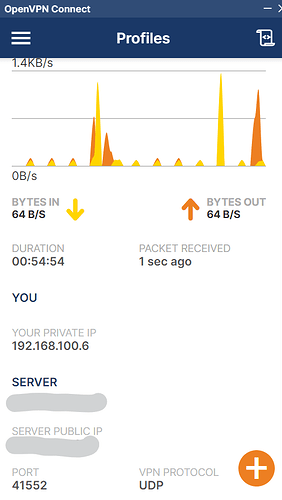 Open-VPN