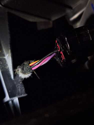 WhatsApp Image 2026-02-14 at 2.02.36 PM (2)