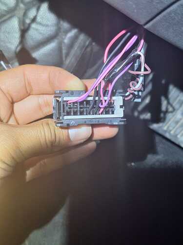 WhatsApp Image 2026-02-14 at 2.02.36 PM (1)