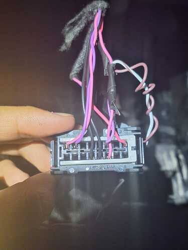 WhatsApp Image 2026-02-14 at 2.02.35 PM