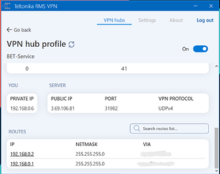 IP VPN