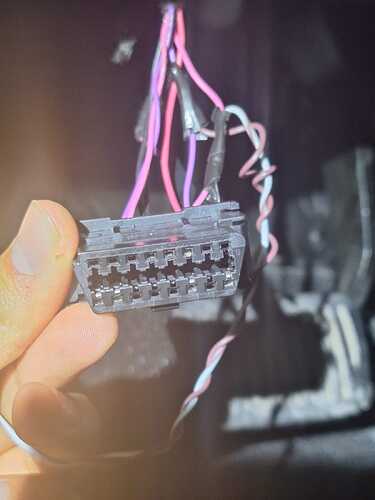 WhatsApp Image 2026-02-14 at 2.02.35 PM (1)