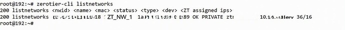 zerotier-cli listnetworks