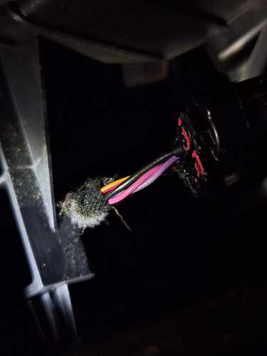 WhatsApp Image 2026-02-14 at 2.02.36 PM (3)